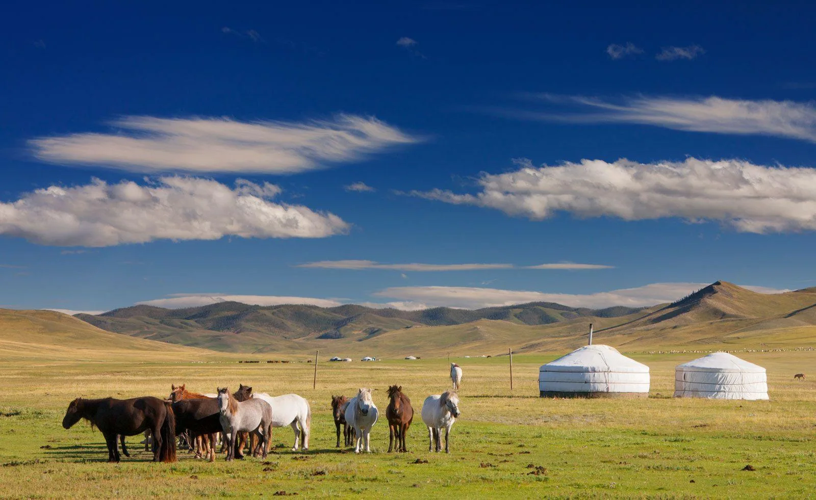 Mongolie : entre deux empires